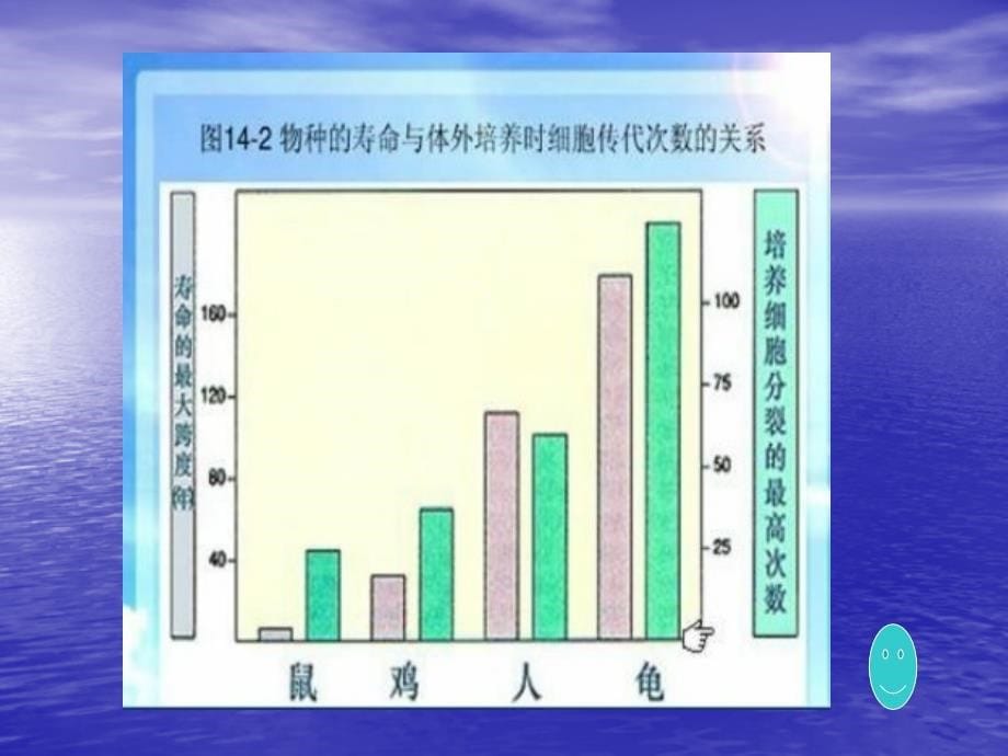 老年护理学基因程控理论ppt课件_第5页