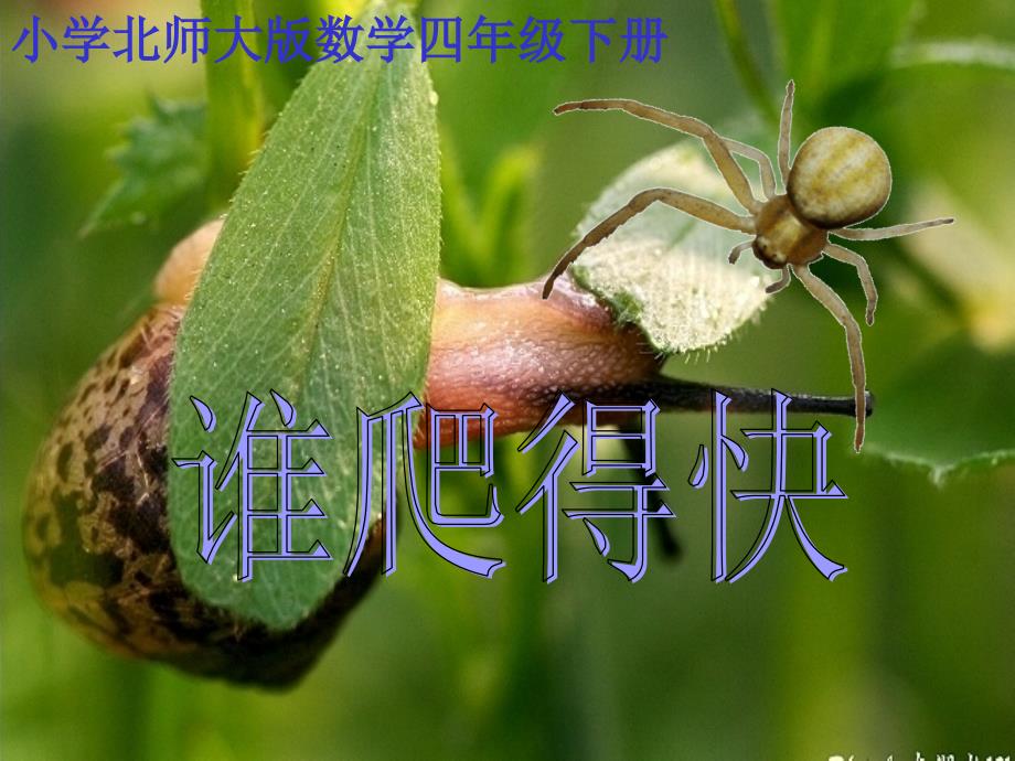 （北师大版）四年级数学下册课件谁爬得快_1_第1页