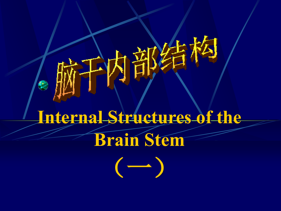 脑干内部结构解剖学教学课件_第1页