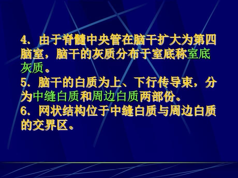 脑干内部结构解剖学教学课件_第5页