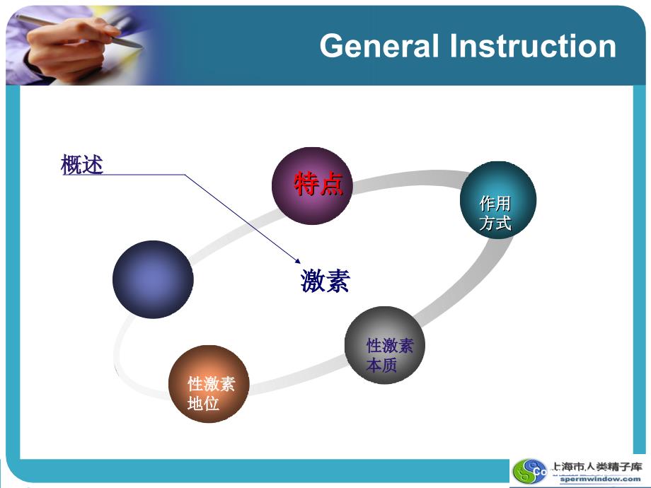 医学课件性激素_第3页