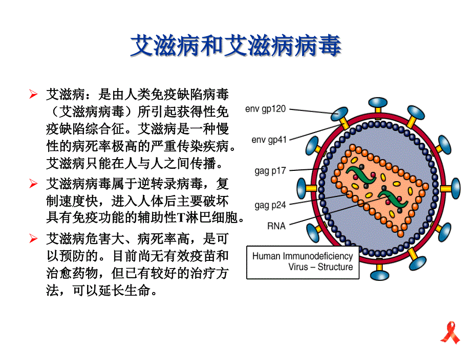 演讲艾滋病基本知识和防治常识ppt课件_第4页