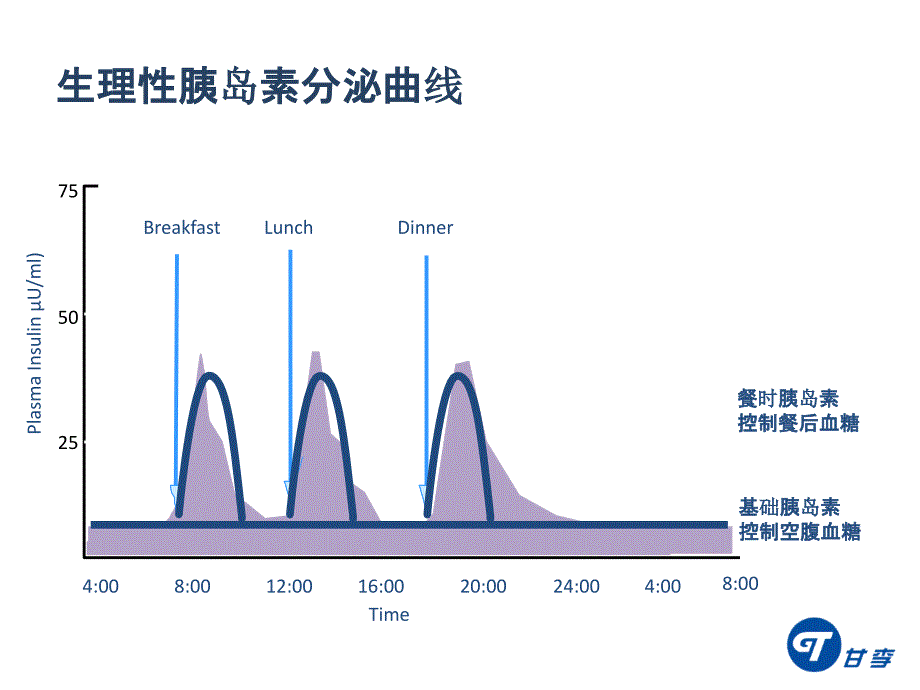 速秀霖ppt课件_第4页