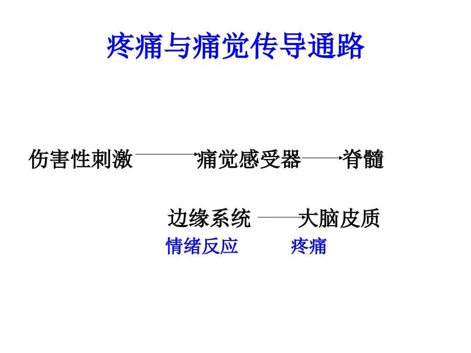 医学课件镇痛药（43p）_第5页