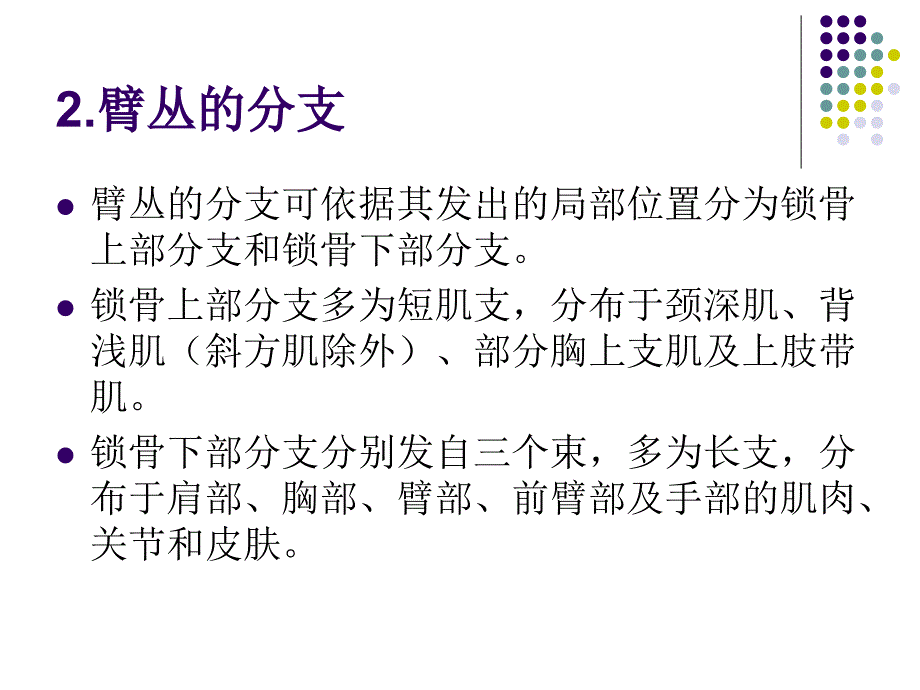 臂丛神经痛课件_1_第4页