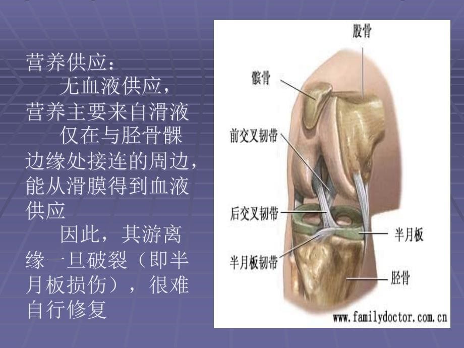 膝关节半月板损伤课件_10_第5页