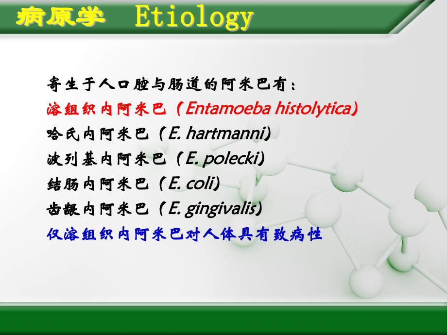 《阿米巴病》传染病护理学精品ppt课件_第2页