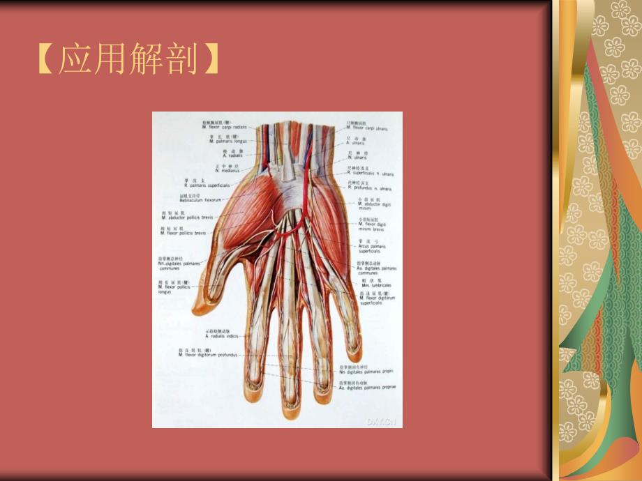 腕管综合征知识点讲解精要课件_第4页