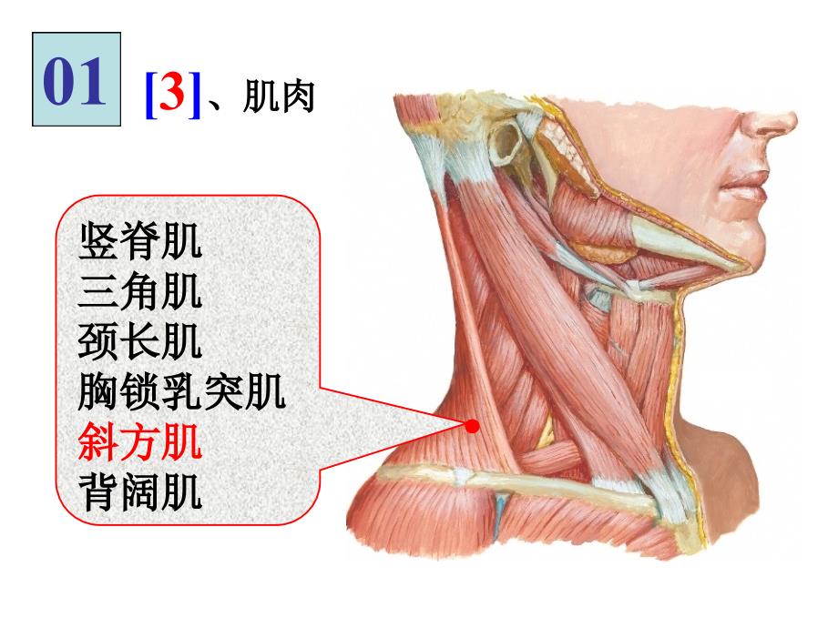 局解实验集锦ppt课件_1_第2页