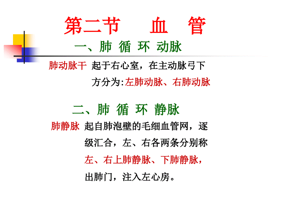 护理解剖学04动脉ppt课件_第2页