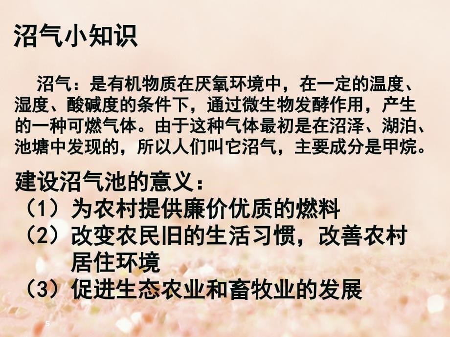 湖北省黄石市高中地理 第三章 农业地域的形成与发展 问题研究 家乡的农业园区会是 什 么样课件 新人教版必修2_第5页