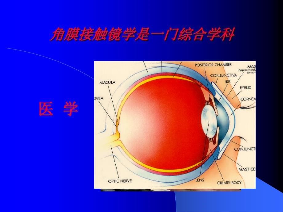 隐形眼镜概论ppt课件_第5页