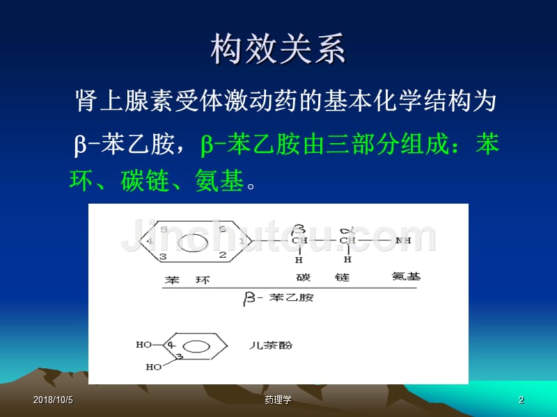 药理学第5章肾上腺素受体激动药 ppt课件_第2页