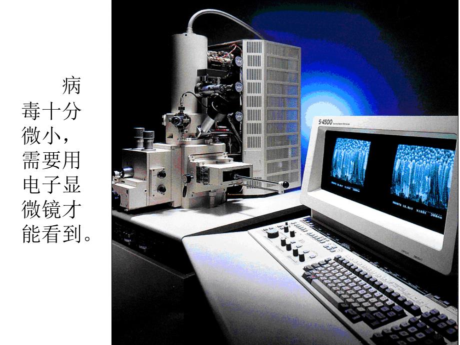 新人教版八级上册第五章病毒 课件_第4页