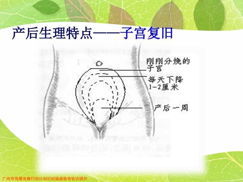 科学坐月子课件_第5页