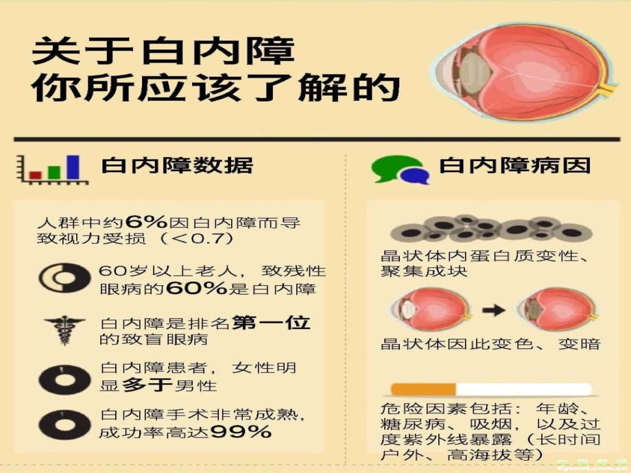 医学眼科带教2白青_第3页