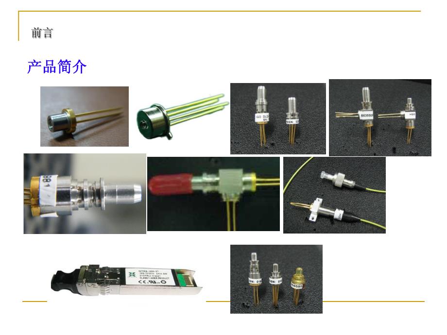 tosarosa知识简介_第3页