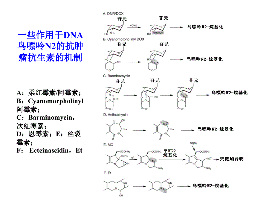 医学微生物药物学第七章抗肿瘤抗生素_第3页