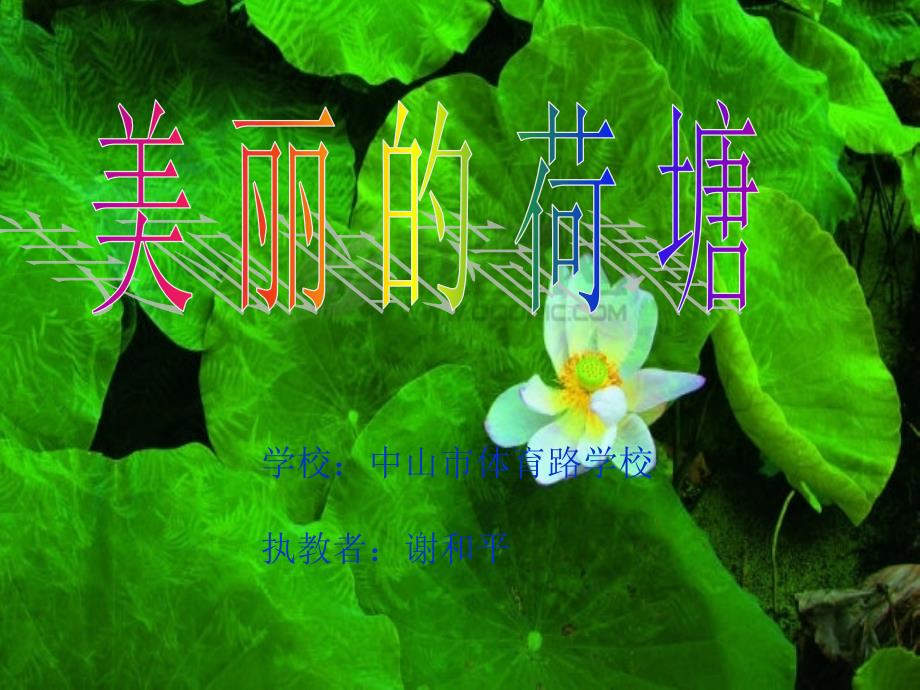 美术四年级上册第四单元_我们的大自然（美丽的荷塘）岭南版苏锦秀仙小体育路学校_第2页