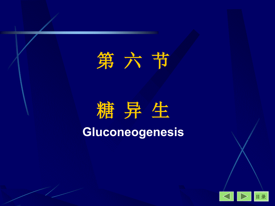 生化第4章第4节课糖代谢课件_第3页