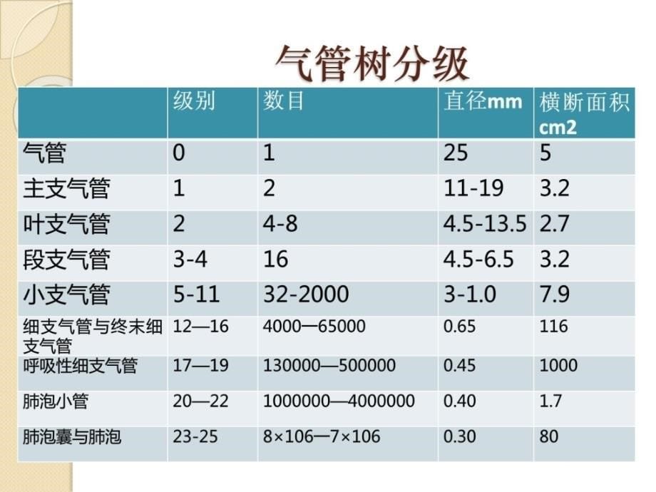 支气管扩张症2011课件_第5页