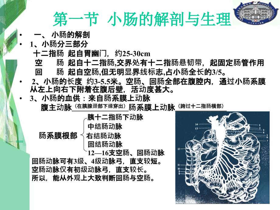 外科学课件小肠疾病卿笃桔_第2页