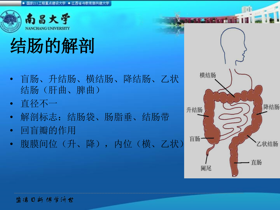 外科学教学资料 37 结直肠肛管疾病课件_第3页