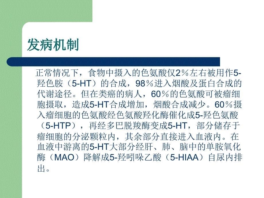 类癌鉴别课件_第5页