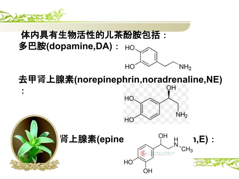 儿茶酚胺类神经递质的神经生理作用课件_第5页