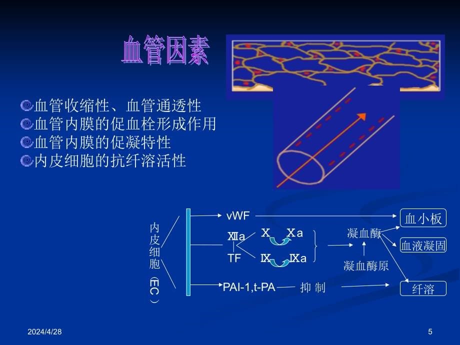 出血性疾病课件_21_第5页