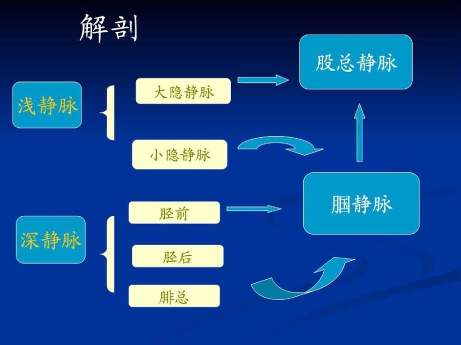 周围血管疾病病人的护理课件_4_第4页