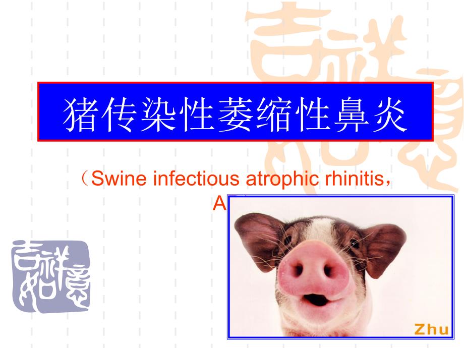 第十一节 猪传染性萎缩性鼻炎课件_第1页