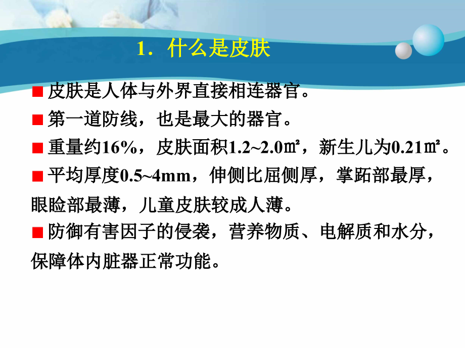 乳头层下血管丛课件_第4页