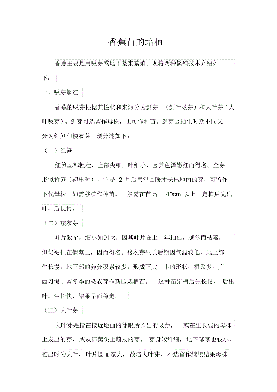香蕉苗培植技术_第1页