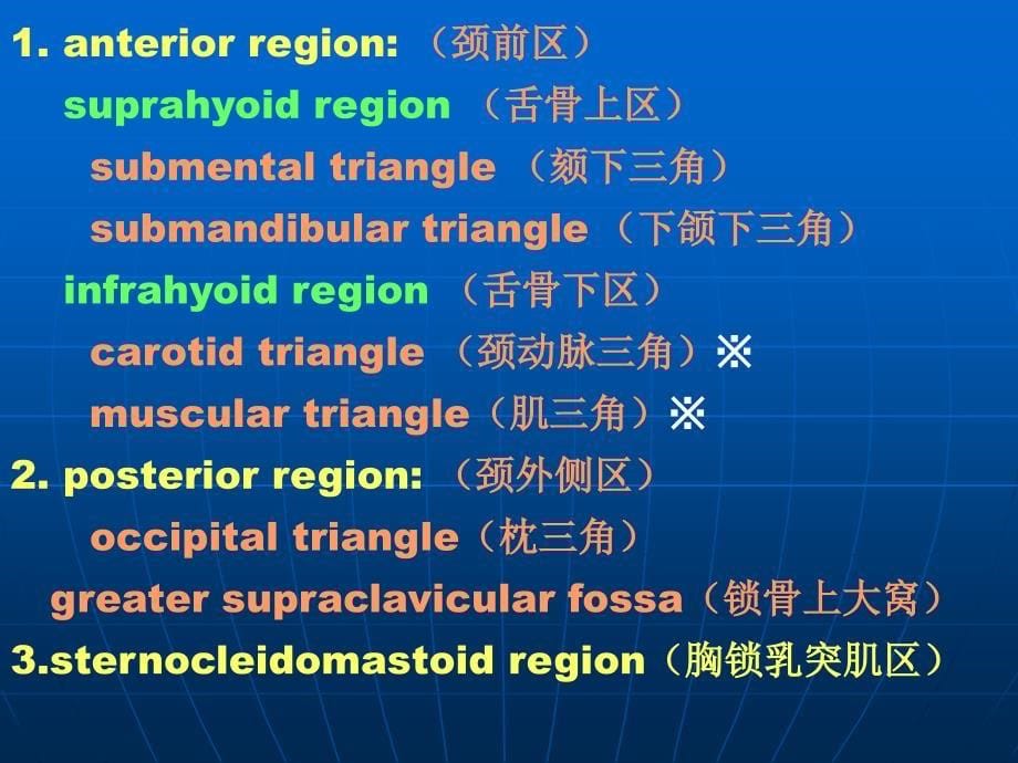 基础医学颈部课件_第5页