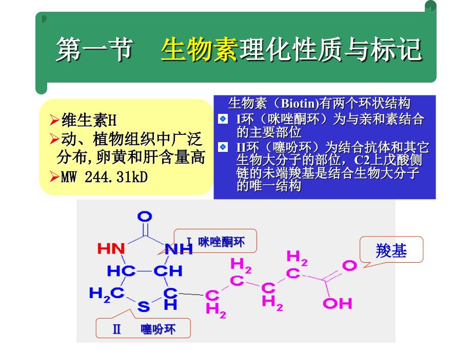 第11章 生物素亲合素放大技术（2011年 姚课件_第3页