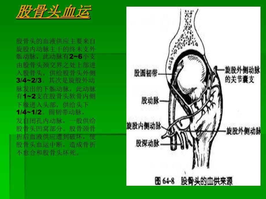 股骨颈骨折课件_4_第5页