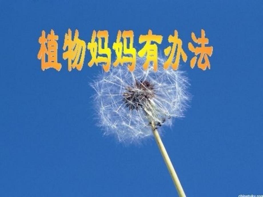 冀教版小学语文二年级上册《植物妈妈有办法》课件_第1页