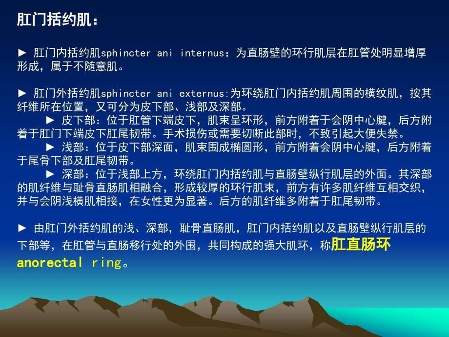 直肠肛管疾病 浙江大学医学院附属邵逸夫医院肛肠外科课件_第5页