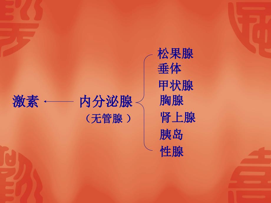 激素调节医学课件_第2页