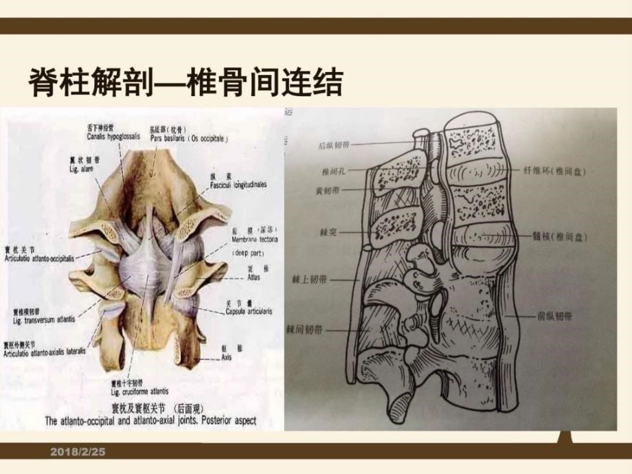 脊柱侧弯矫形术手术配合方法图文课件_第5页