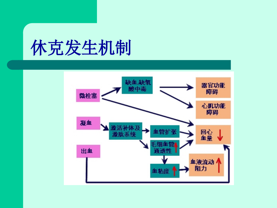 感染性休克治疗课件_第3页