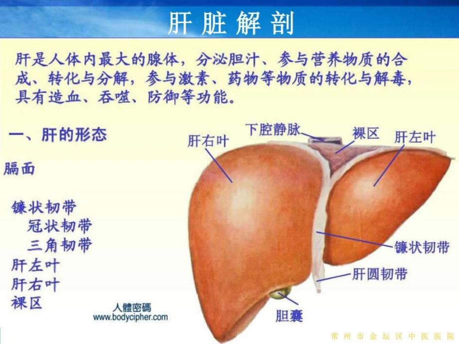 肝破裂急诊手术的护理查房课件_1_第4页