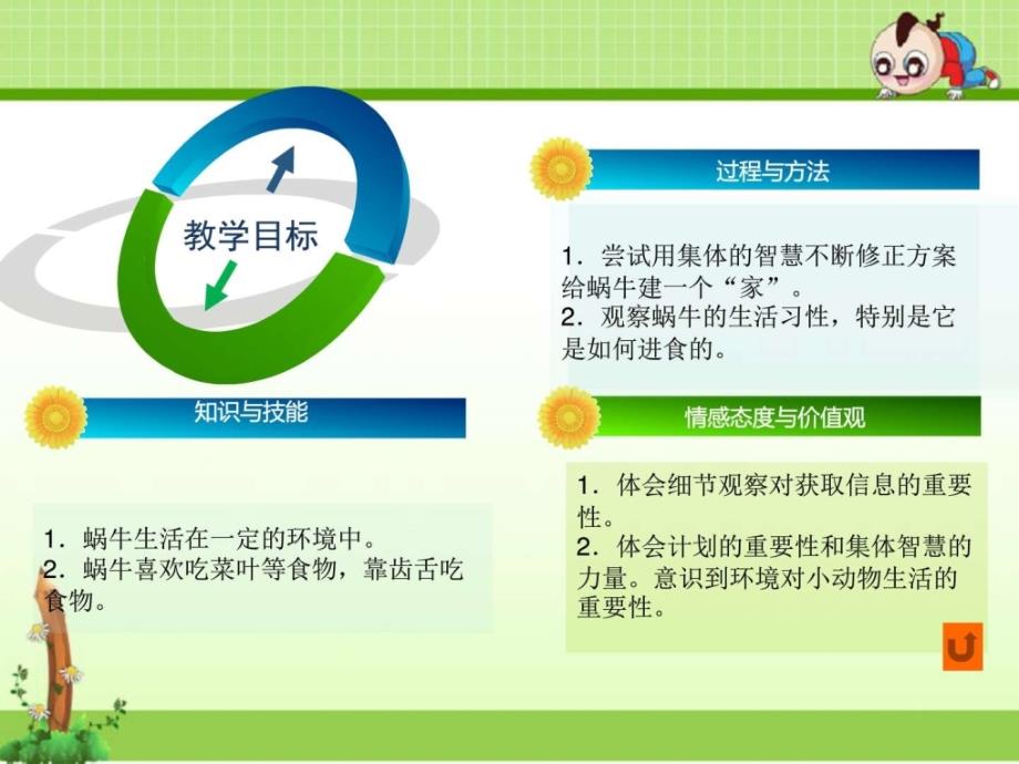 最新教科版科学一年级下册24给动物建个家_（ppt）（ppt课件_第3页