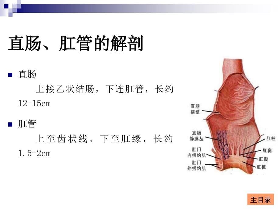 第46章 结直肠肛管疾病（汪建平）（《外科学》8年制第2版配套）课件_第5页