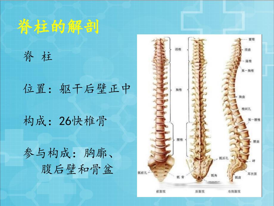 脊柱骨折的急救与护理课件_第3页