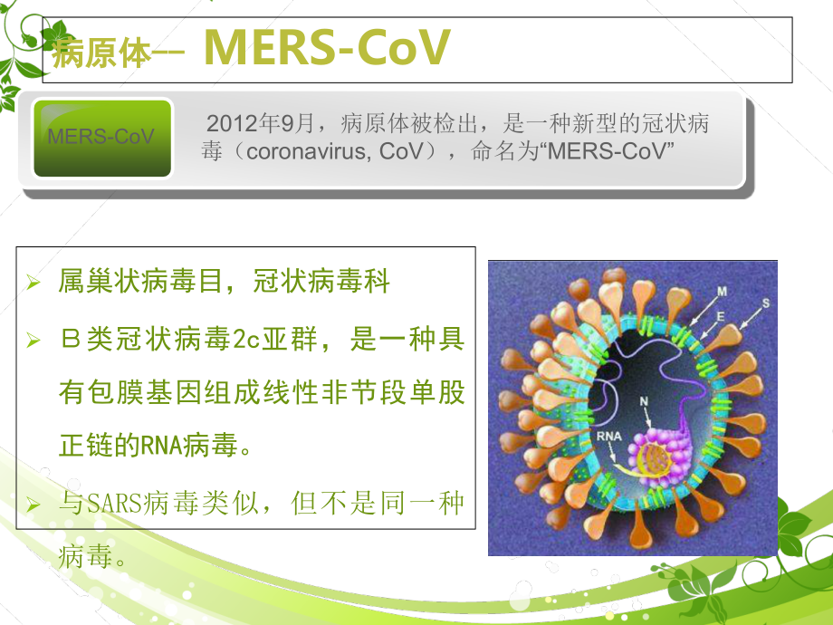 中东呼吸综合征防控2015课件_第2页