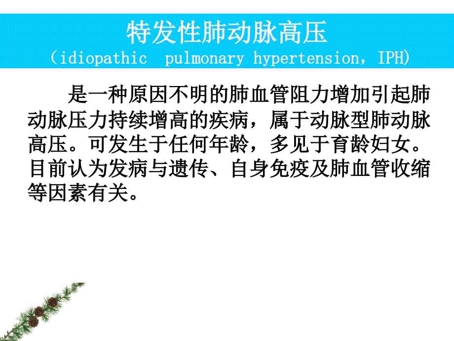 掌握肺动脉高压与慢性肺源性心脏病的概念课件_第5页