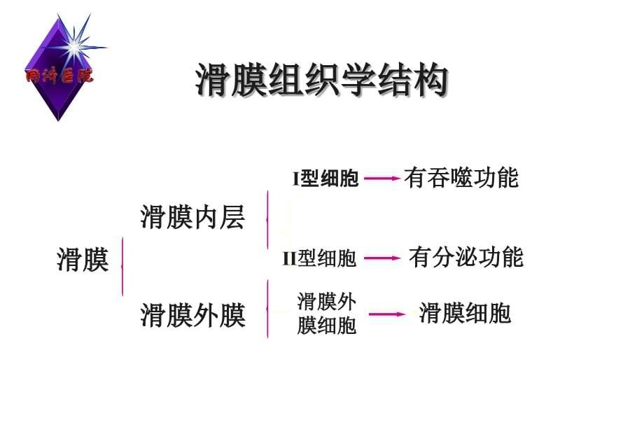 膝关节滑膜病变的mr诊断课件_第5页