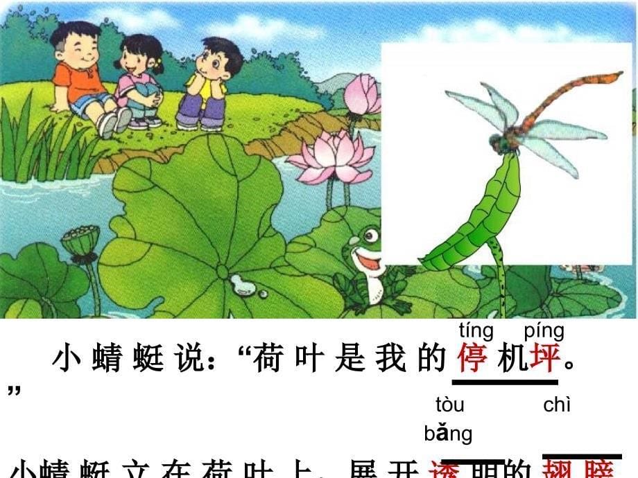 人教版小学一年级语文荷叶圆圆课件课件五_第5页